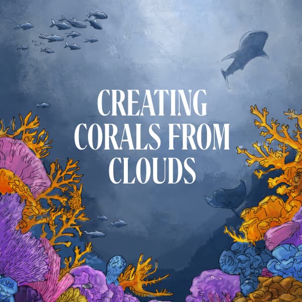 Any sufficiently advanced technology is indistinguishable from magic (Read more)