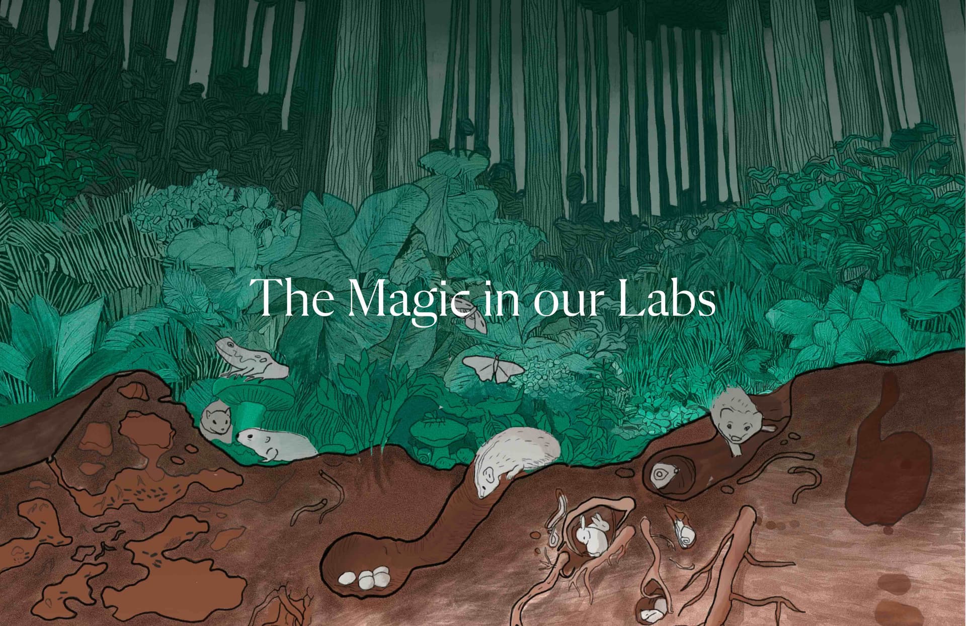 The Science of Enhanced Rock Weathering.