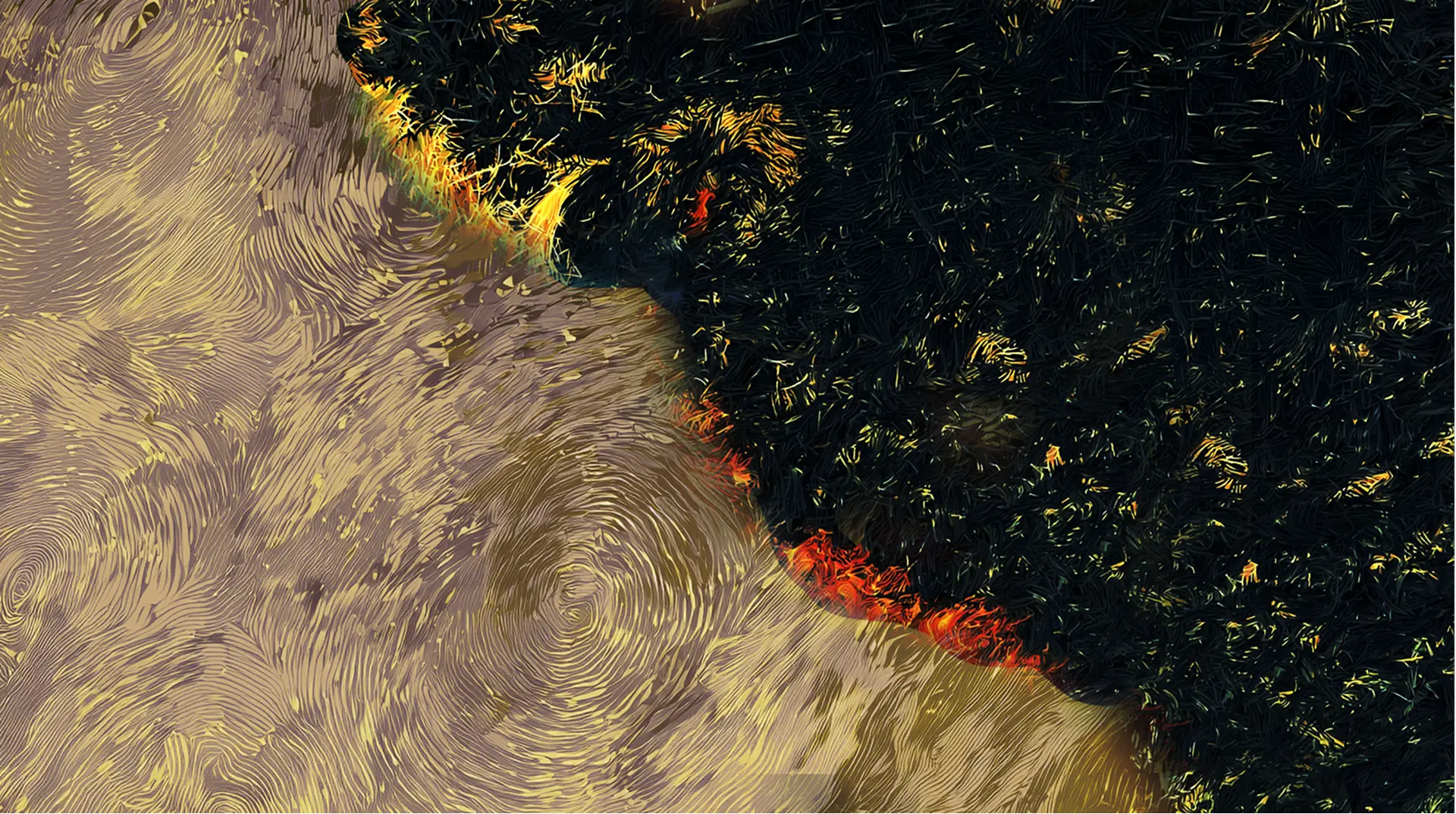 Burnt stubble field with a fire line crossing it